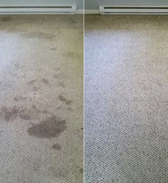 carpet stain removal service