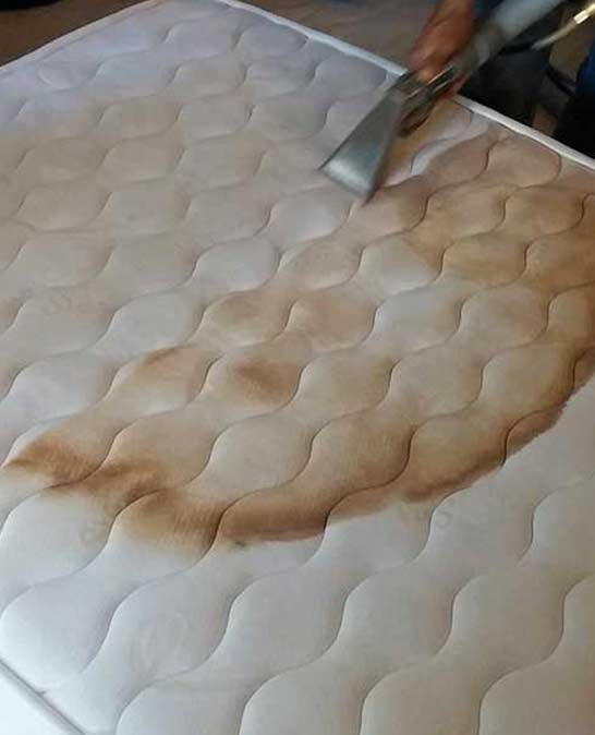 Mattress Steam Cleaning Melborune