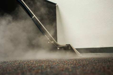 Professional Carpet Steam Cleaning Service