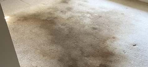 Best Carpet Stain Removal Melbourne