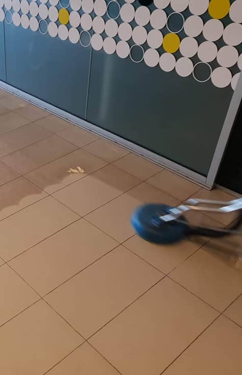 Best Grout Cleaning Service