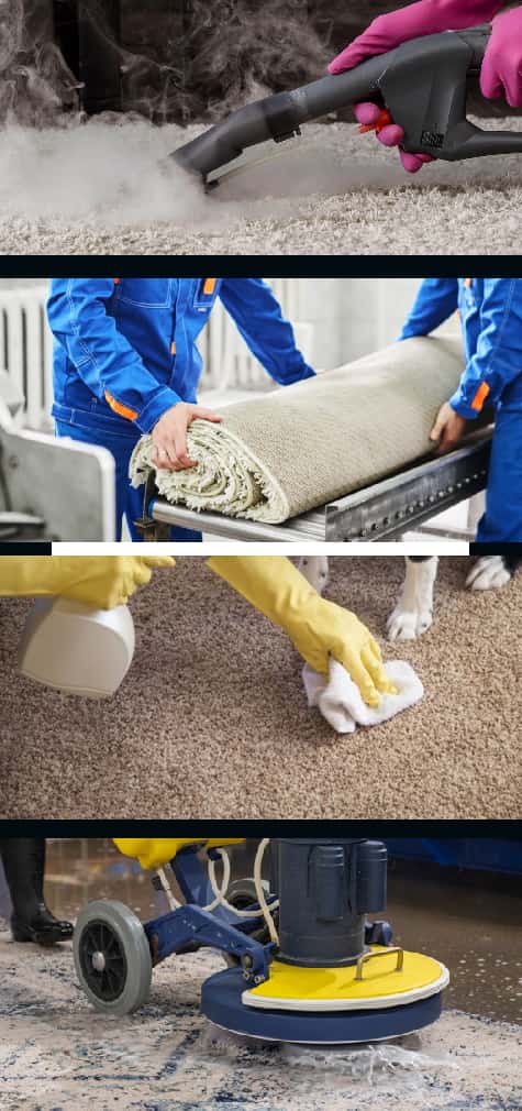 Our Rug Cleaning Services