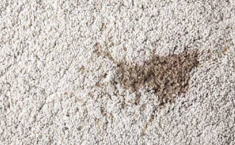 Professional Carpet Stain Removal Melbourne