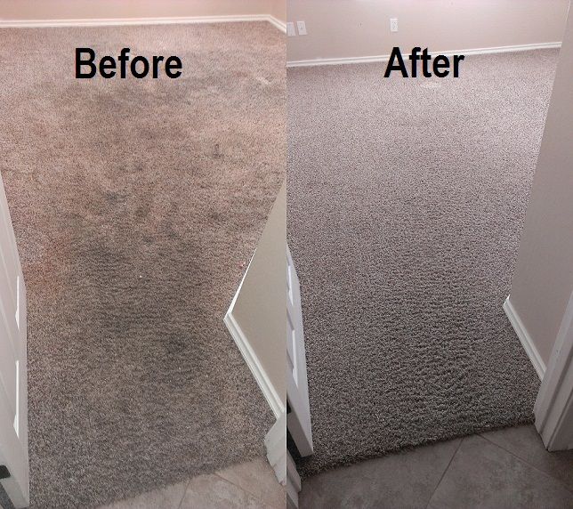 Carpet Steam Cleaner Melbourne Process Before and After
