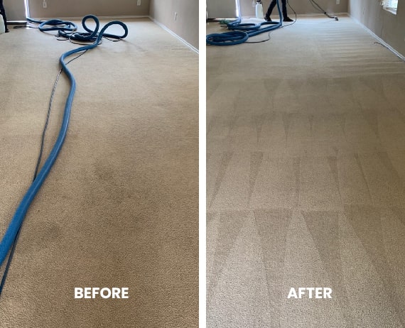 Before after image of carpet cleaning Carlton