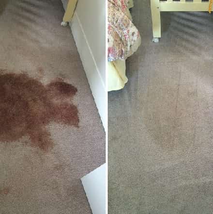Best Carpet Stain Removal Treatmente