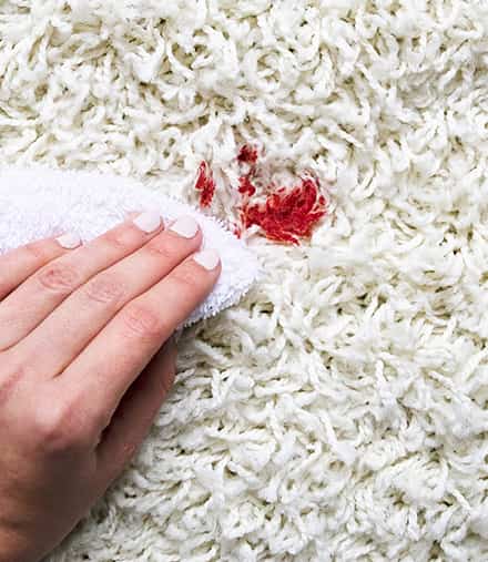 carpet stain removal service Kensington