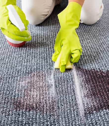 Deep Carpet Stain Removal Service