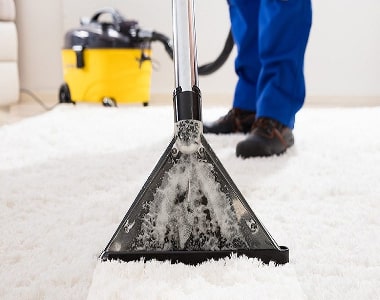 image of clean carpet with expert