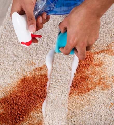 Remove All Kinds of Stains From Carpets