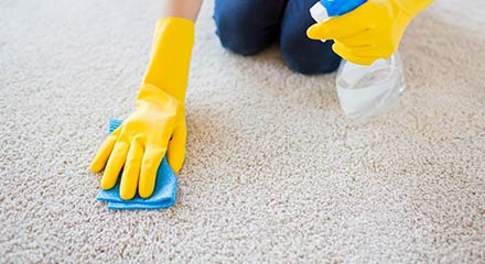 Carpet Odour Removal