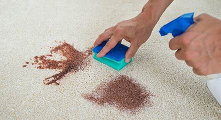 Carpet Stain Removal