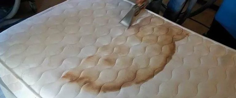How To Clean Up Urine On A Mattress